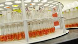 BRIEF-Natco Pharma Says Buys Shares In Unit Amounting To $727,100