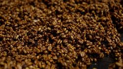 SOFTS-Raw sugar, arabica coffee close down; cocoa recovers