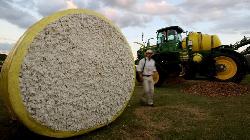 BRIEF-Axita Cotton To Consider Appointment Of CFO