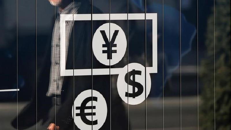 FOREX-Euro dips to 2-week low, Turkish lira weakest on record