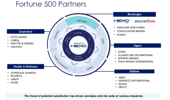 Fortune 500 Partners