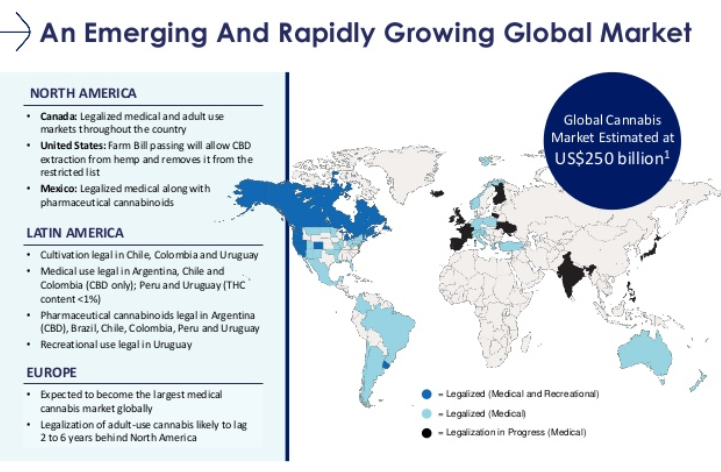 Global Market