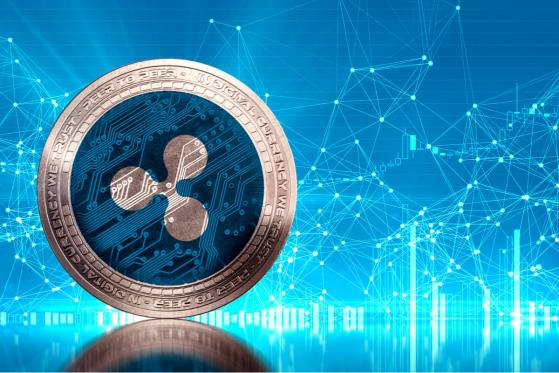  XRP Searches High as Ever Despite Slump in Price 