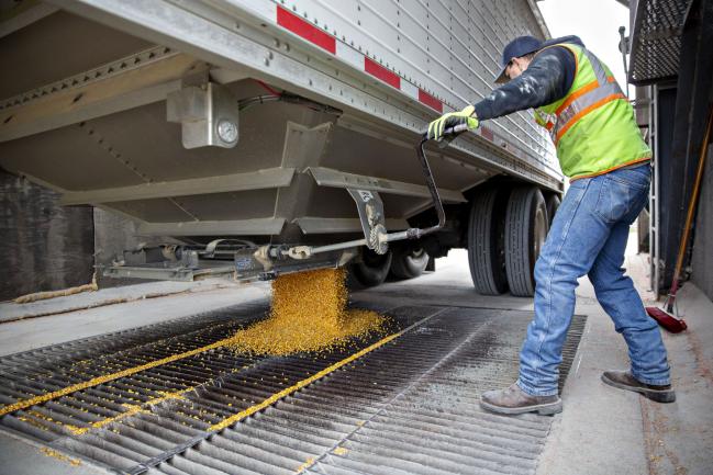 © Bloomberg. A worker unloads corn from a grain truck at the Michlig Grain LLC elevator in Sheffield, Illinois, U.S., on Tuesday, Oct. 2, 2018. Having all three North American countries agree on a trade deal has given traders and farmers reassurance that some flows of agricultural goods won't be disrupted, particularly to Mexico, a major buyer of U.S. corn, soybeans, pork and cheese. 
