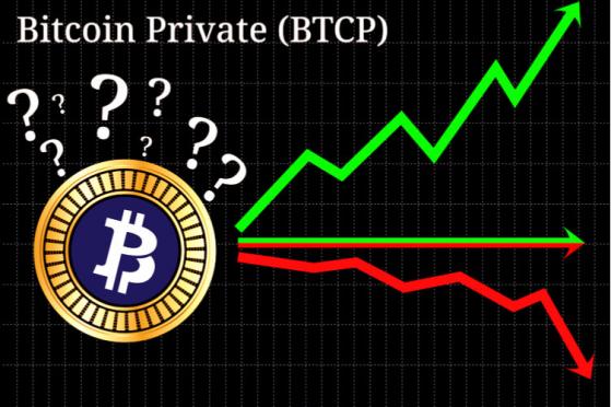  Price Boost Ahead? John McAfee Invited to Support Bitcoin Private (BTCP) 