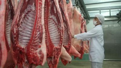 Dịch bệnh hoành hành trên thế giới đẩy giá thịt lợn trong nước lên cao