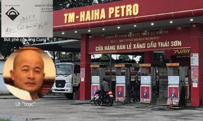 Út 'trọc' đã mạo nhận và trốn thuế như thế nào?