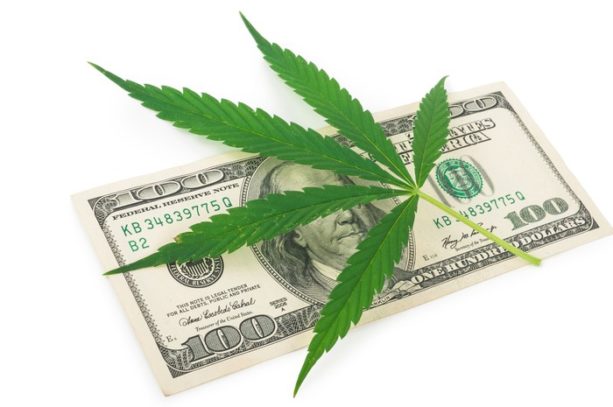 Wie man in Marihuana-Aktien investiert