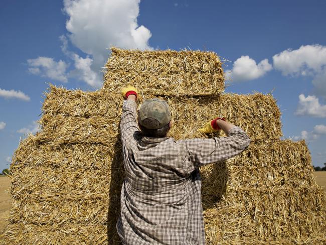 © Bloomberg. A farm hand stacks bales of straw. 