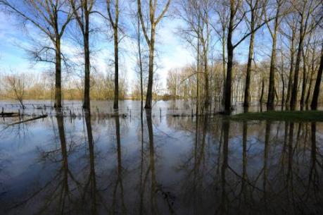 Zorgen Sif om bescherming tegen hoogwater