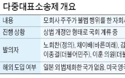 &quot;다중대표소송 도입 땐 350만원으로 1188개社 임원 상대 소송 가능&quot;