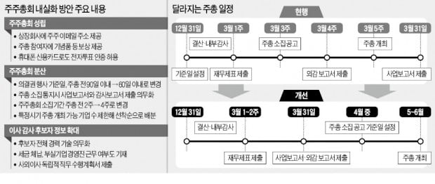 주총대란 대책이 고작…