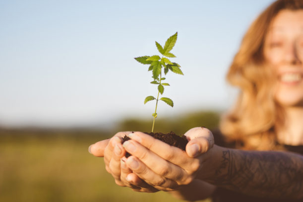 Dieser neue Cannabis-Trend hat seine frühen Investoren reich entlohnt