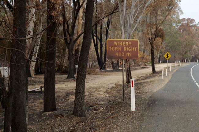 Wildfire Smoke Sparks Worries for Australian Wine Growers