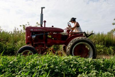 Trung Quốc ngừng mua nông sản, 