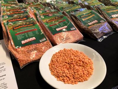 Mỹ muốn xuất 3.000 tấn đậu khô vào Việt Nam