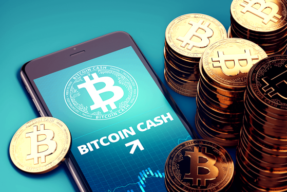 Bitcoin Cash (BCH) Price Rallies, Boosted by Bitcoin (BTC)