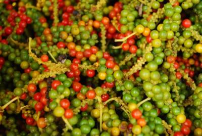 Giá nông sản hôm nay 27/3: Hồ hởi vì giá tiêu tiếp tục tăng, giá cà phê giảm nhẹ