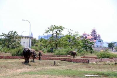 'Quay cuồng' giá đất