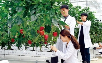 연암대학교, 국내 첫 국제 규격 '반려동물 훈련센터'