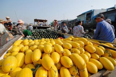 Xuất khẩu rau quả tăng trưởng mạnh trở lại