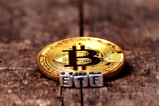  Bitcoin ETF Discouraged by US SEC on Safety Grounds 