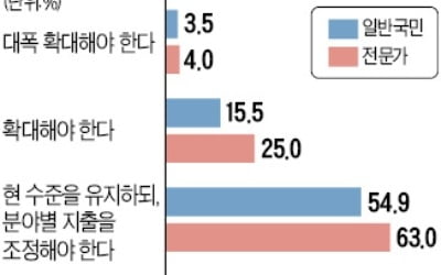 재정지출 축소 여론에도…'팽창예산' 강행한 정부