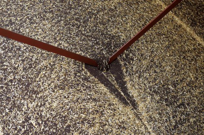 © Bloomberg. Canola seeds collect in a hopper at a farm near Balliang, Australia, on Saturday, Nov. 25, 2017. Canola output may be 2.9 million tons in 2017-18, 3.6 percent higher than previous estimates, according to the Australian Bureau of Agricultural & Resource Economics & Sciences. 