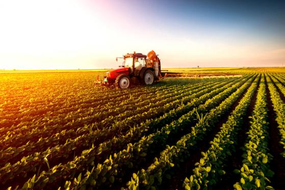  Blockchain Revolutionizing Agriculture, Food Sectors 