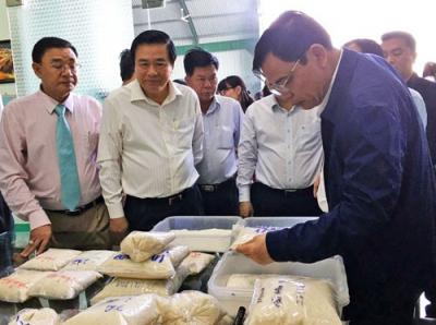 Nhiều kiến nghị hỗ trợ xuất khẩu gạo