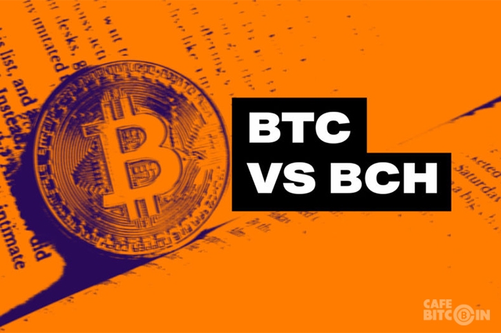 Roger Ver: Bitcoin Cash [BCH] năm 2019 sẽ là Bitcoin [BTC] với sứ mệnh ban đầu