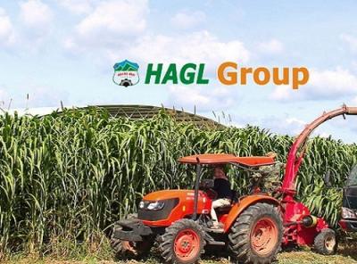 Thaco lại một lần nữa mua hụt cổ phiếu HNG