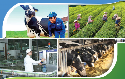 Vinamilk hoàn tất nâng sở hữu tại GTNFoods lên 75% 