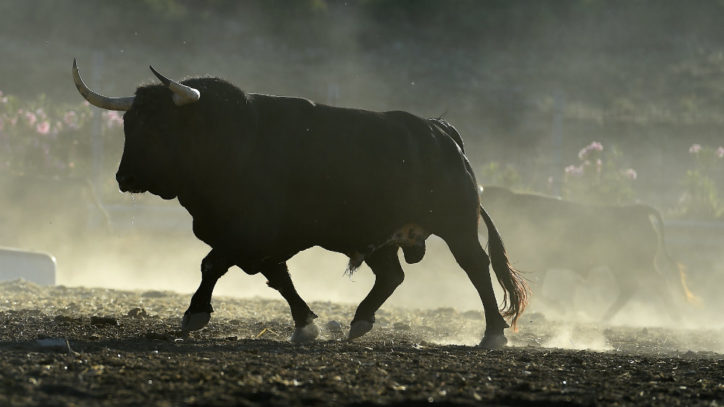The Bull Case for Holding CannTrust (TSX:TRST) Stock