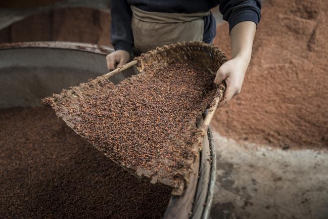 © Bloomberg. An employee holds a wicker scoop while preparing sorghum for fermentation at the Kweichow Moutai Co. distillery in the town of Maotai in Renhuai, Guizhou province, China, on Thursday, Dec. 14, 2017. Moutai baijiu's fiery flavor and potential to appreciate in price is driving blistering demand. That in turn has pushed its market value to more than $145 billion, well past British whisky giant Diageo Plc. 