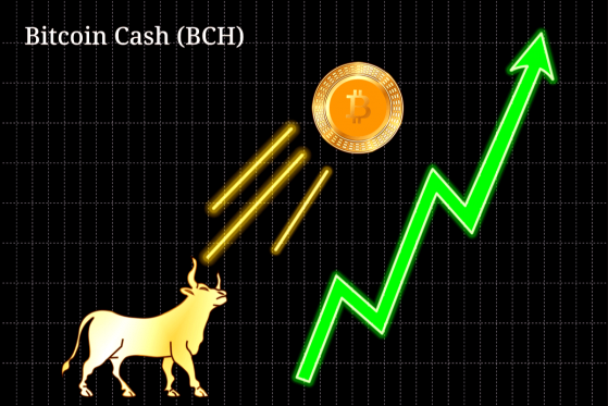  Bitcoin Cash (BCH) Continues Rally, Bitcoin SV (BSV) Follows Suit 