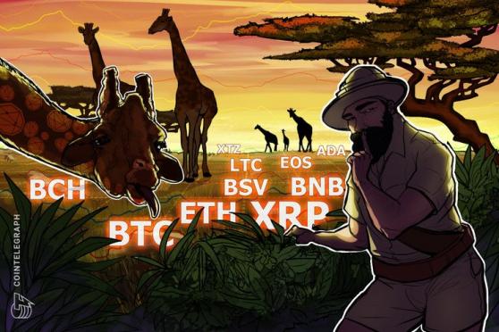 Price Analysis Feb 3: BTC, ETH, XRP, BCH, BSV, LTC, EOS, BNB, ADA, XTZ