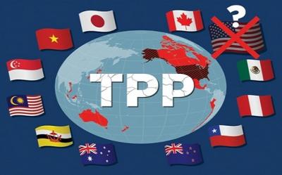 Đàm phán về TPP giữa 11 nước đã gần đi đến đích cuối cùng