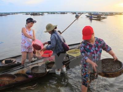 7 dự án trọng điểm nhằm khai thác tốt hệ đầm phá Tam Giang