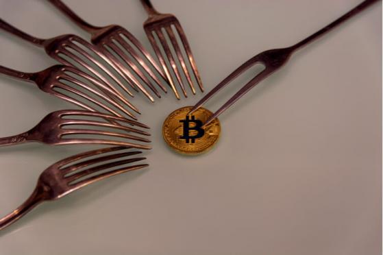  Bitcoin Has Seen 44 Forks Since Last Year, BitMEX Finds 