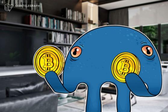 Kraken Paid 250 Salaries to Staff in Bitcoin Last Month, Exchange Tells Critic