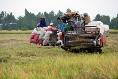 Hơn 1,7 triệu tỉ đồng đổ vào nông nghiệp