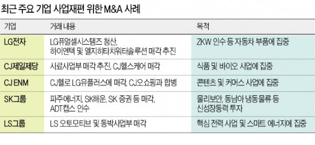 속도 붙은 사업재편…보수적인 LG까지 '올인'