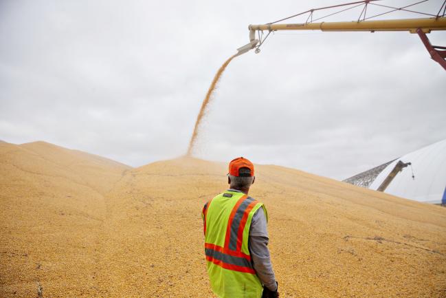 © Bloomberg. Corn is loaded into an outdoor storage bunker in Sheffield, Illinois on Oct. 2. Photographer: Daniel Acker/Bloomberg