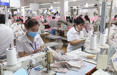 Doanh nghiệp Việt ứng phó với việc thiếu nguyên liệu sản xuất do nCoV