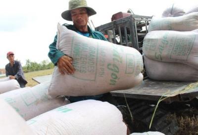 Hạ giá, Việt Nam trúng thầu bán gạo cho Philippines