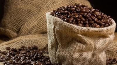 Giá cà phê hôm nay 9/10: Ổn định ở mức 35.000 đồng/kg