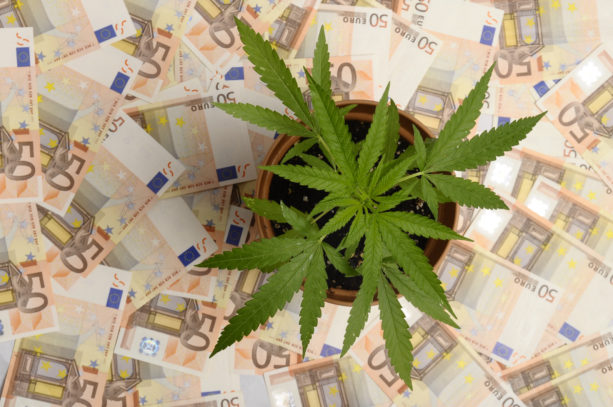 Geld in Cannabis zu stecken ist Spekulation: Nicht zu verwechseln mit Investitionen