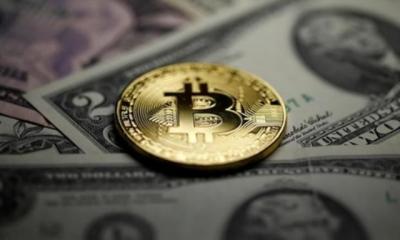 Triệu phú bị lừa mất hơn 5.500 Bitcoin