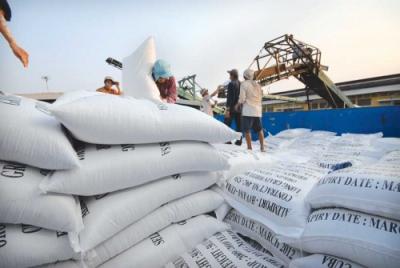 Doanh nghiệp Việt trúng thầu 175.000 tấn gạo bán cho Philippines